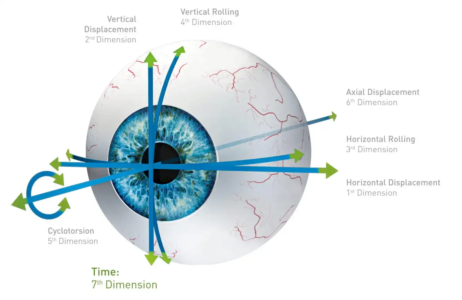 Augenmodell mit Sieben-Dimensionen-Visualisierung